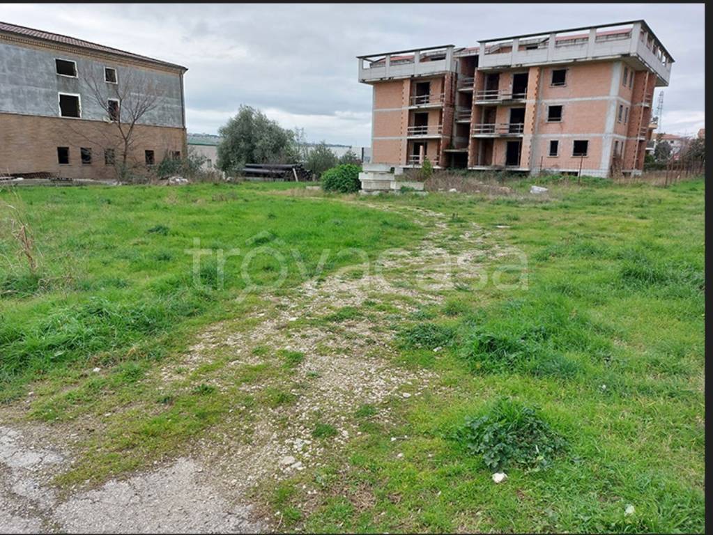 immagine annuncio 2 di 12