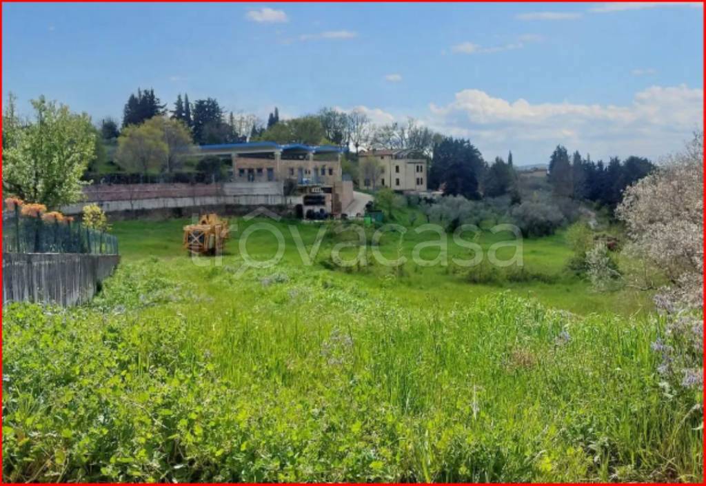 immagine annuncio 2 di 11