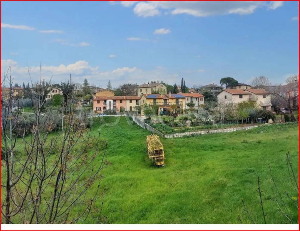immagine annuncio 4 di 11