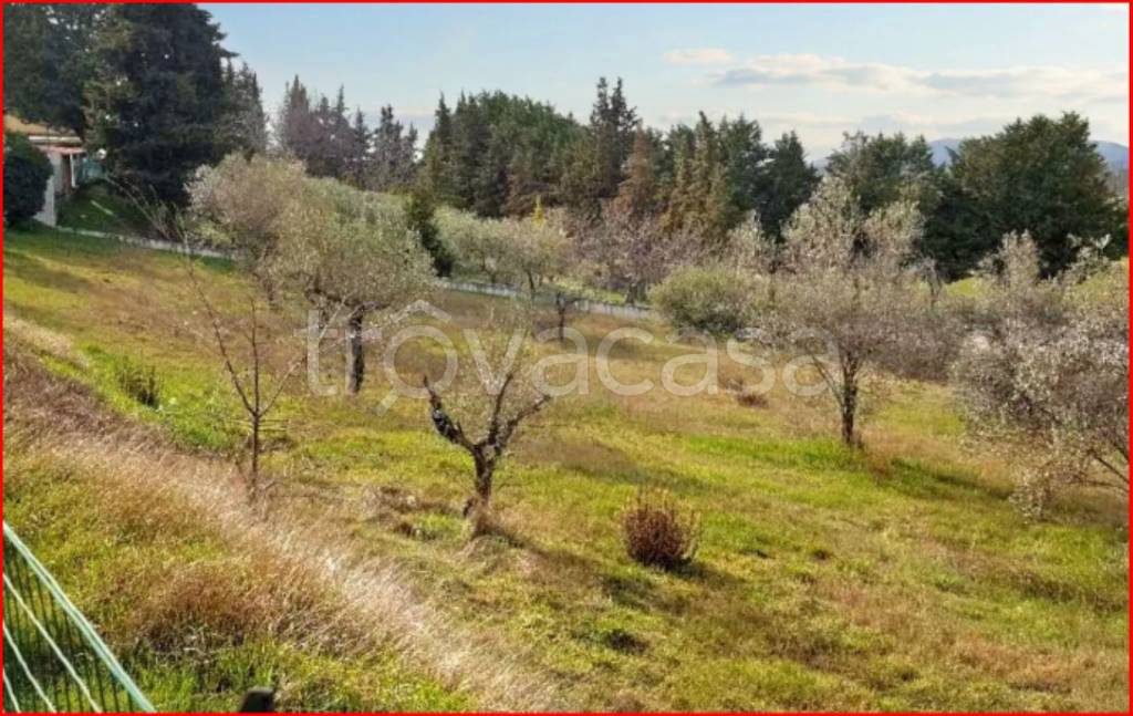 immagine annuncio 2 di 11