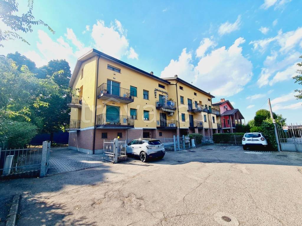 immagine annuncio 3 di 15