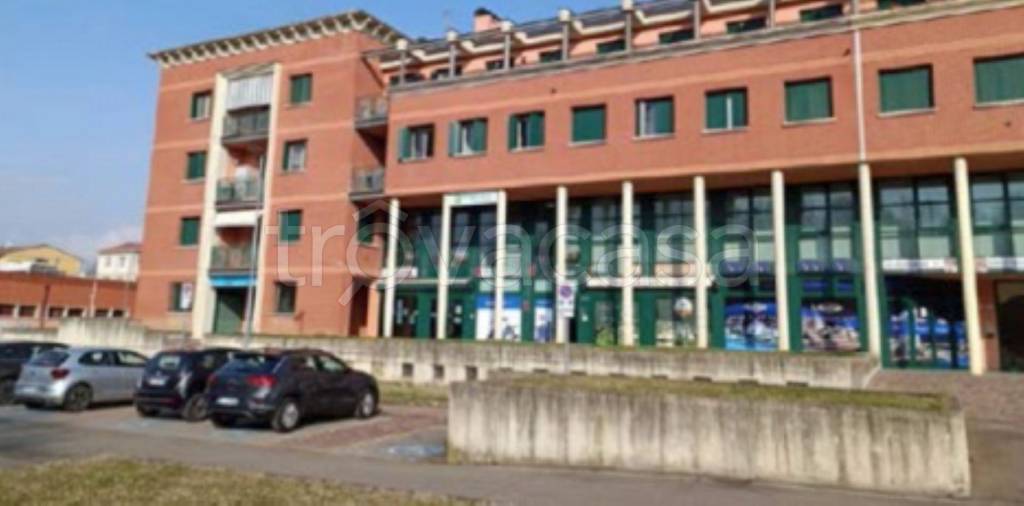 immagine annuncio 4 di 11
