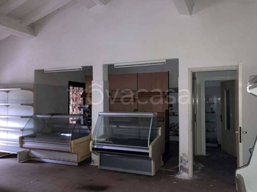 immagine annuncio 9 di 14