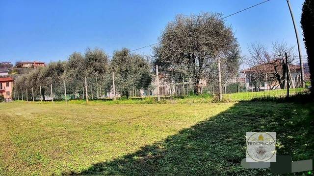 immagine annuncio 3 di 8