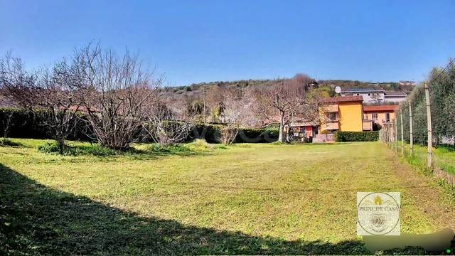 immagine annuncio 4 di 8