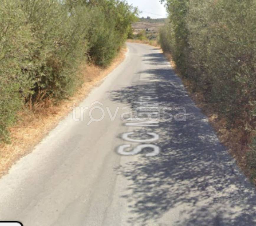 immagine annuncio 4 di 11