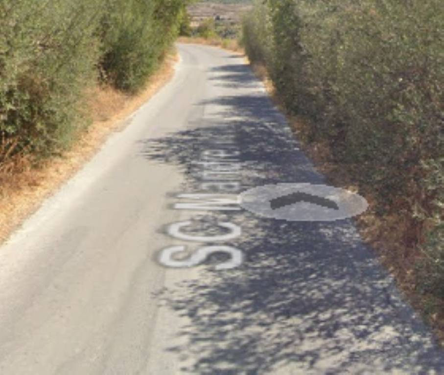 immagine annuncio 5 di 11