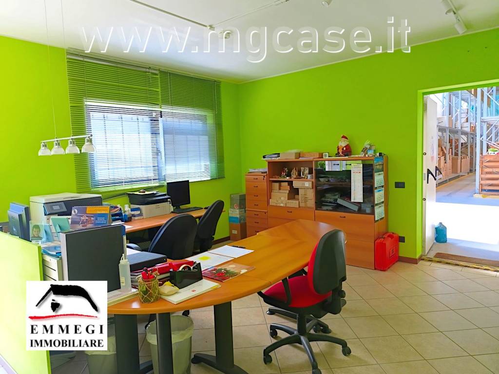 immagine annuncio 9 di 15