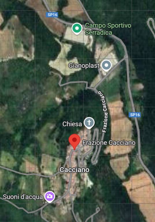 immagine annuncio 5 di 12