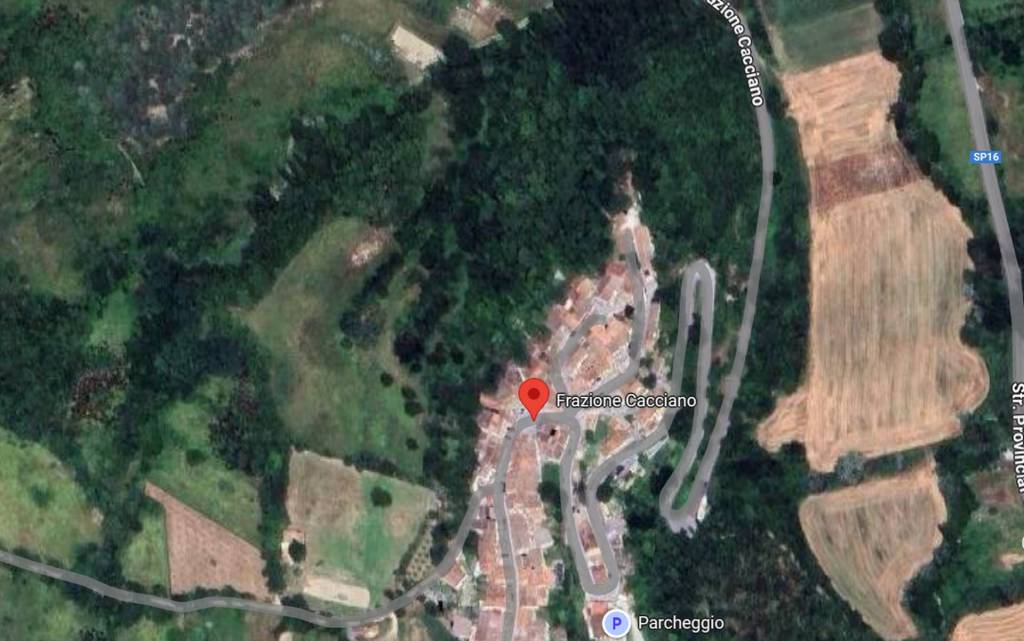 immagine annuncio 6 di 12