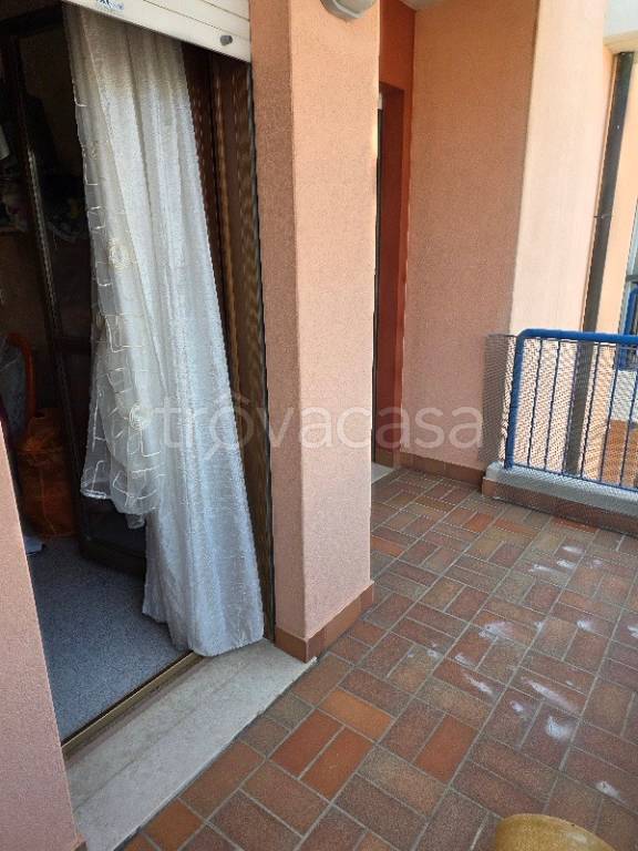 immagine annuncio 9 di 14