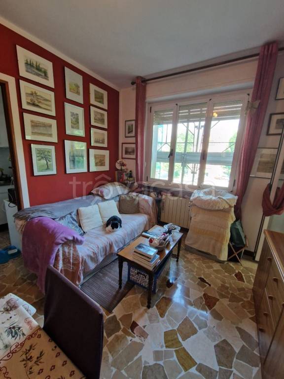 immagine annuncio 1 di 12