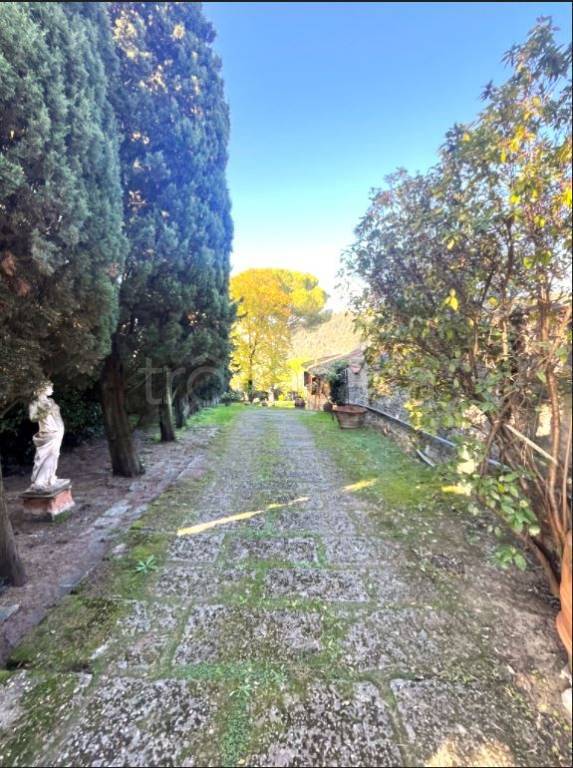 immagine annuncio 4 di 6