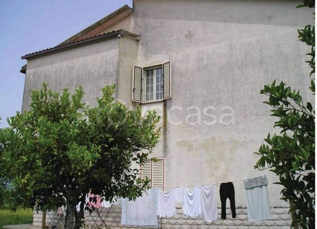 immagine annuncio 5 di 14