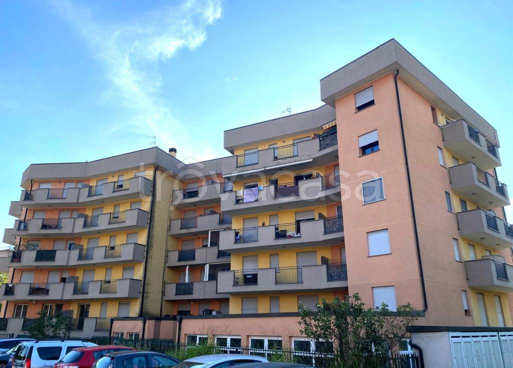 immagine annuncio 3 di 15