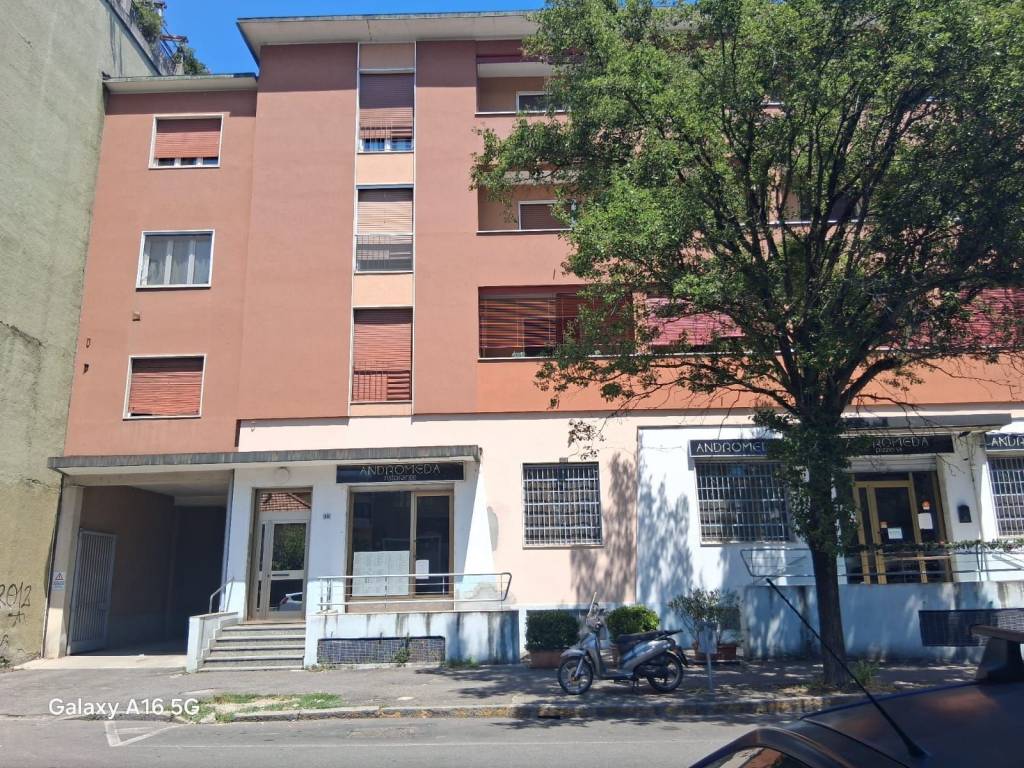 immagine annuncio 10 di 11