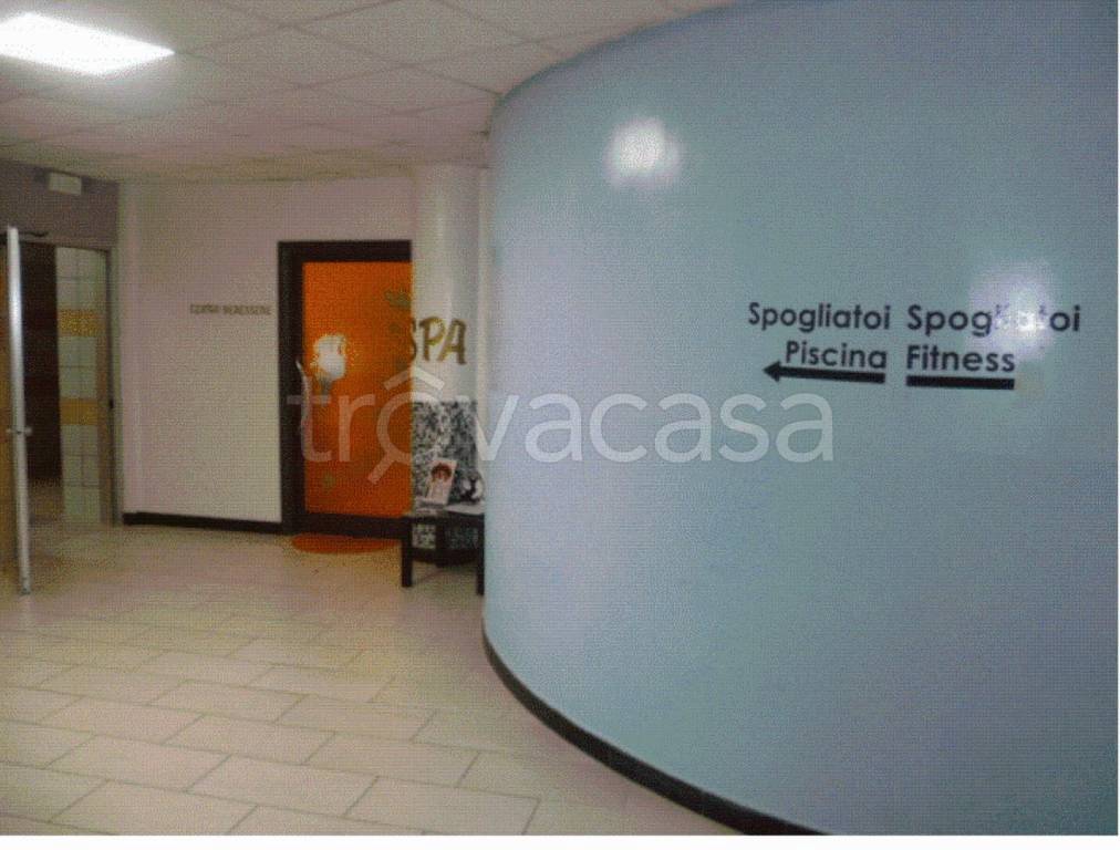 immagine annuncio 7 di 12