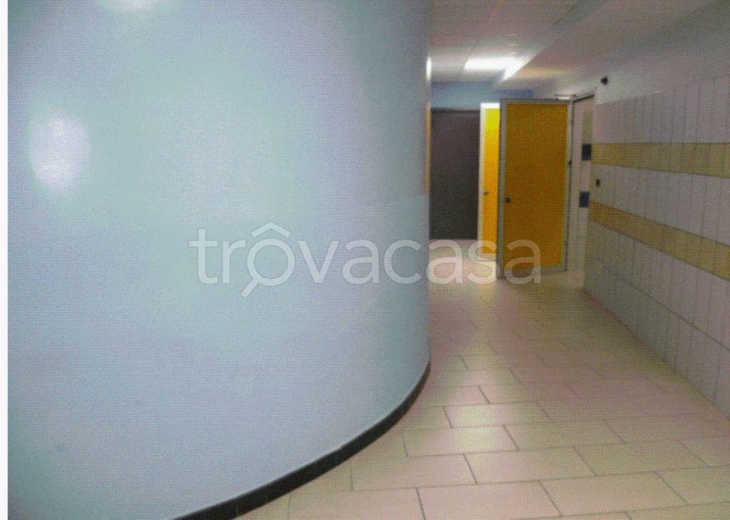 immagine annuncio 8 di 12