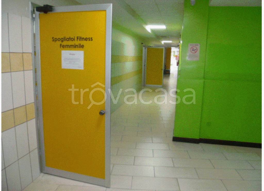 immagine annuncio 9 di 12