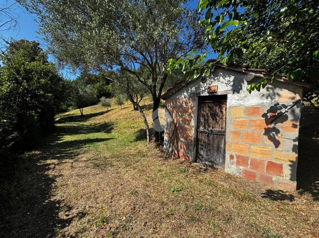 immagine annuncio 5 di 9