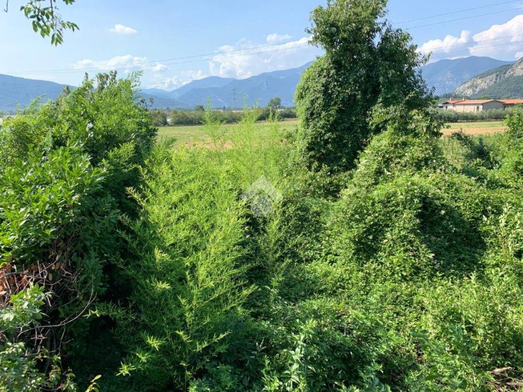 immagine annuncio 11 di 12