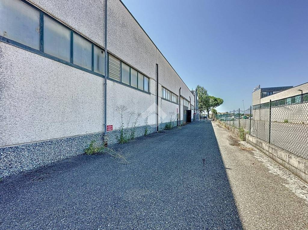 immagine annuncio 11 di 14