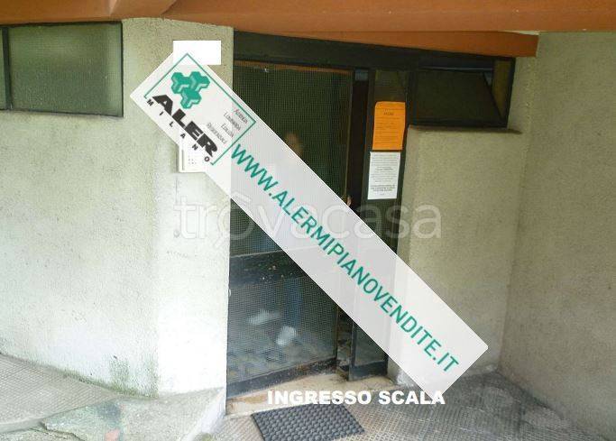 immagine annuncio 6 di 15