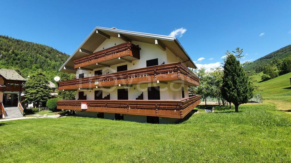 immagine annuncio 1 di 14