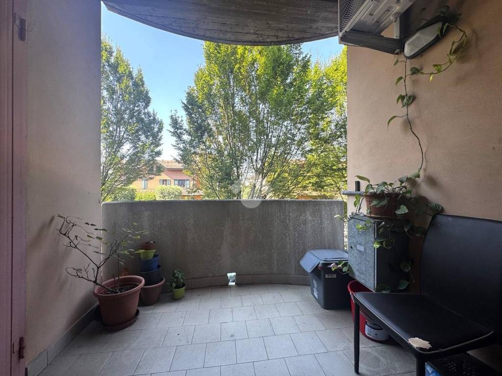 immagine annuncio 9 di 14