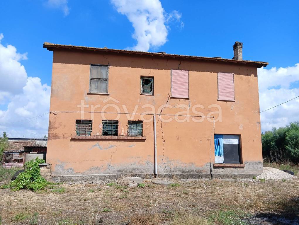 immagine annuncio 3 di 8