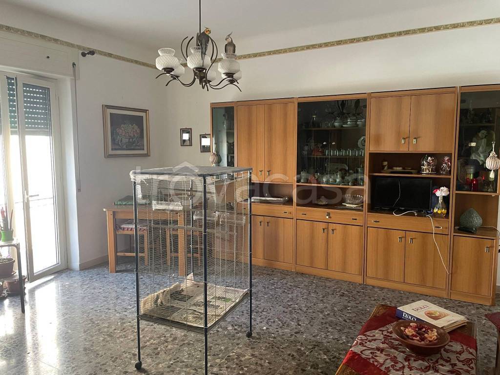 immagine annuncio 4 di 12