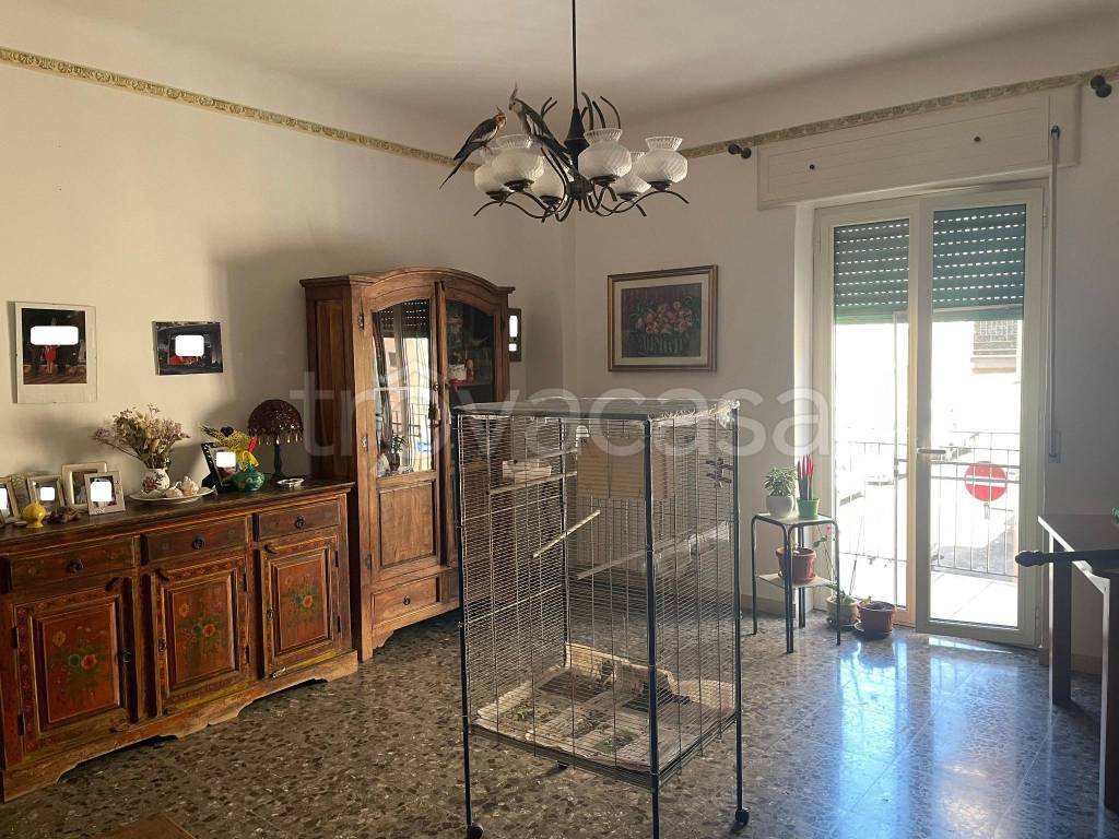 immagine annuncio 5 di 12