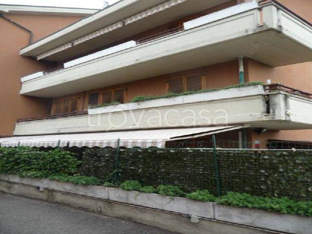 immagine annuncio 3 di 9