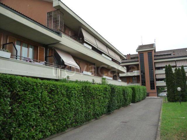 immagine annuncio 4 di 9