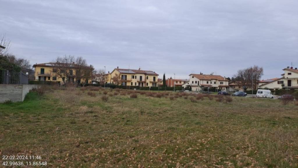 immagine annuncio 5 di 11