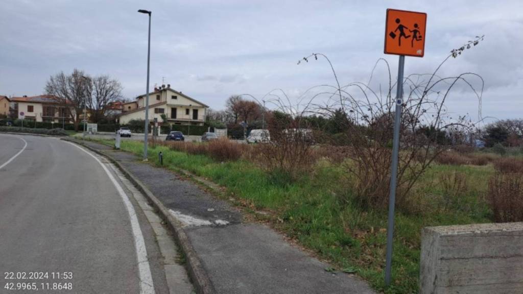 immagine annuncio 9 di 11
