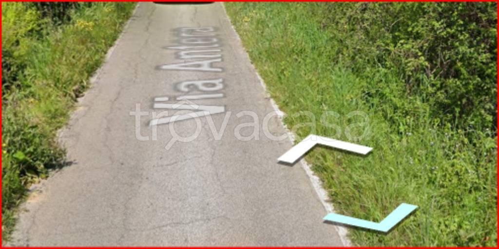 immagine annuncio 8 di 12