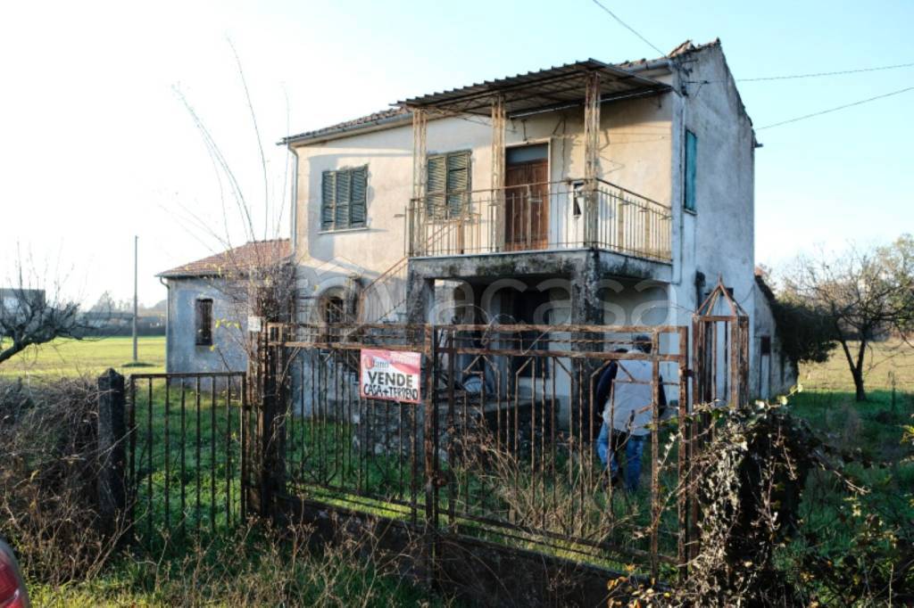 immagine annuncio 3 di 12