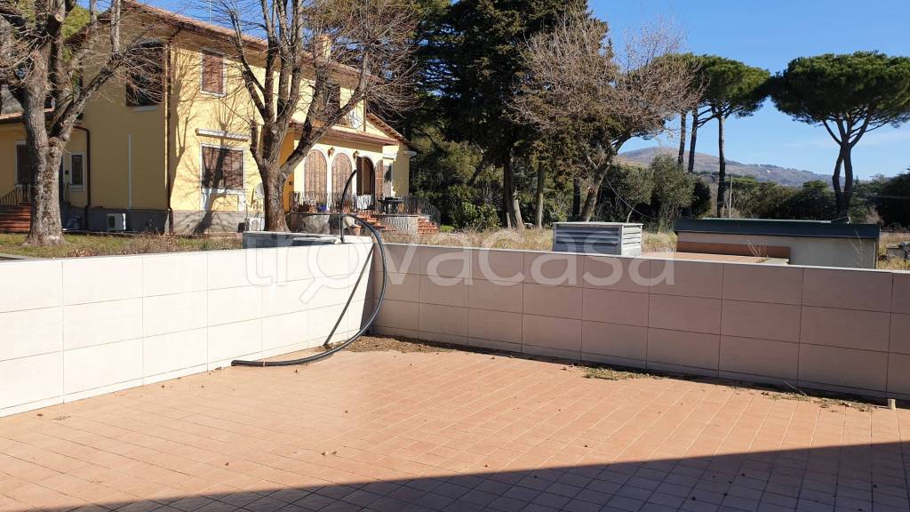 immagine annuncio 12 di 14