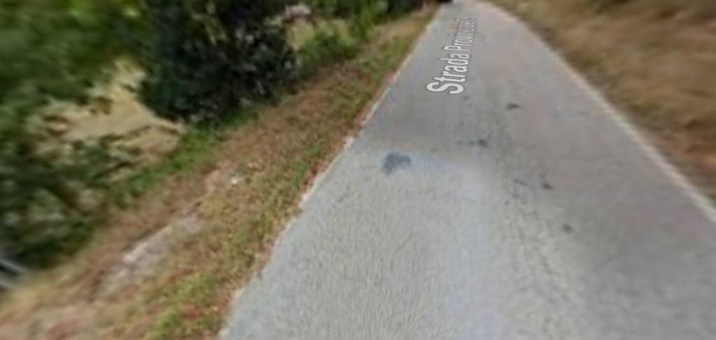 immagine annuncio 4 di 13