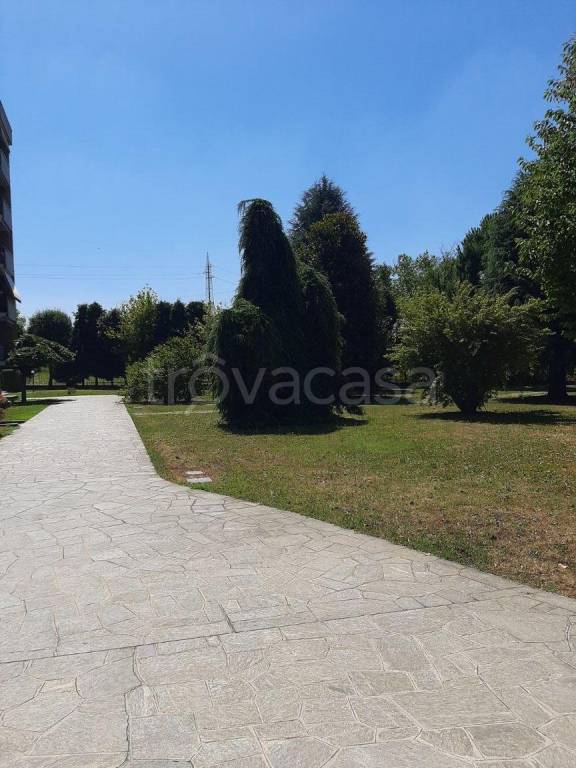 immagine annuncio 1 di 9