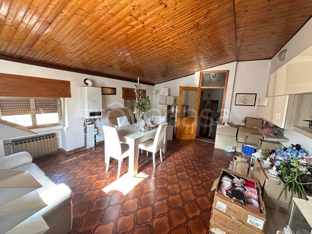 immagine annuncio 3 di 12