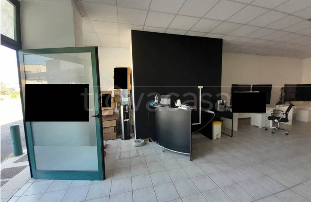 immagine annuncio 2 di 12