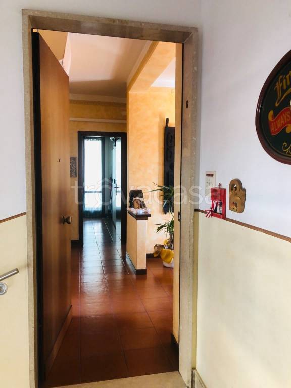 immagine annuncio 9 di 13