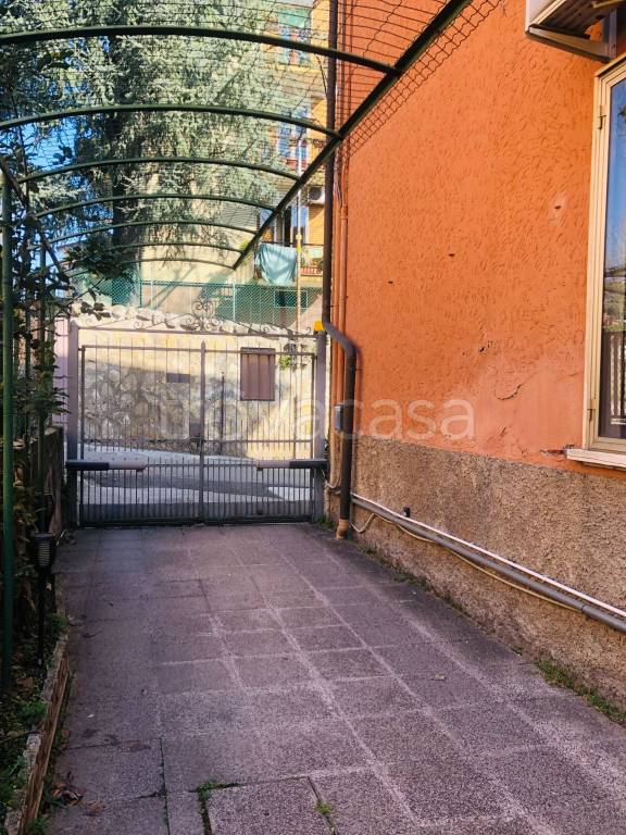 immagine annuncio 11 di 13