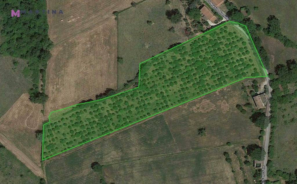 immagine annuncio 1 di 2