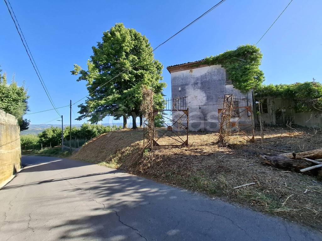 immagine annuncio 8 di 14