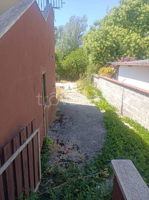 immagine annuncio 1 di 14