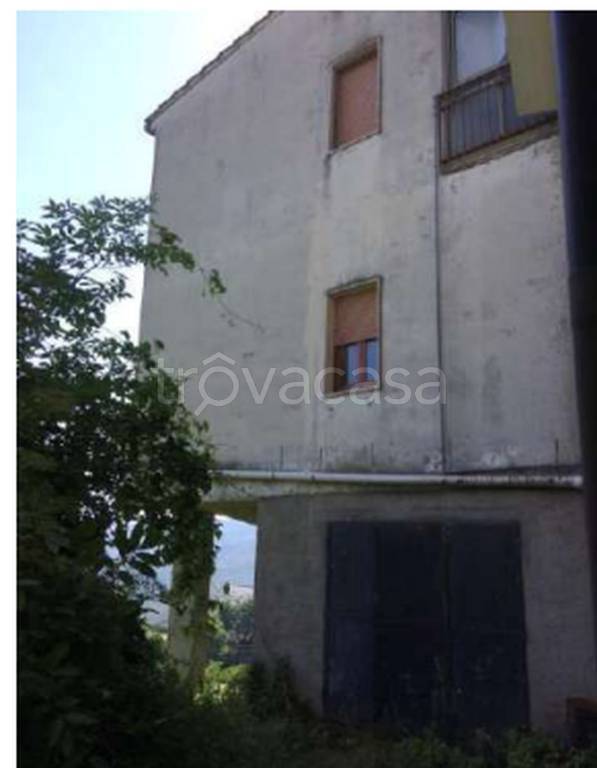 immagine annuncio 6 di 12
