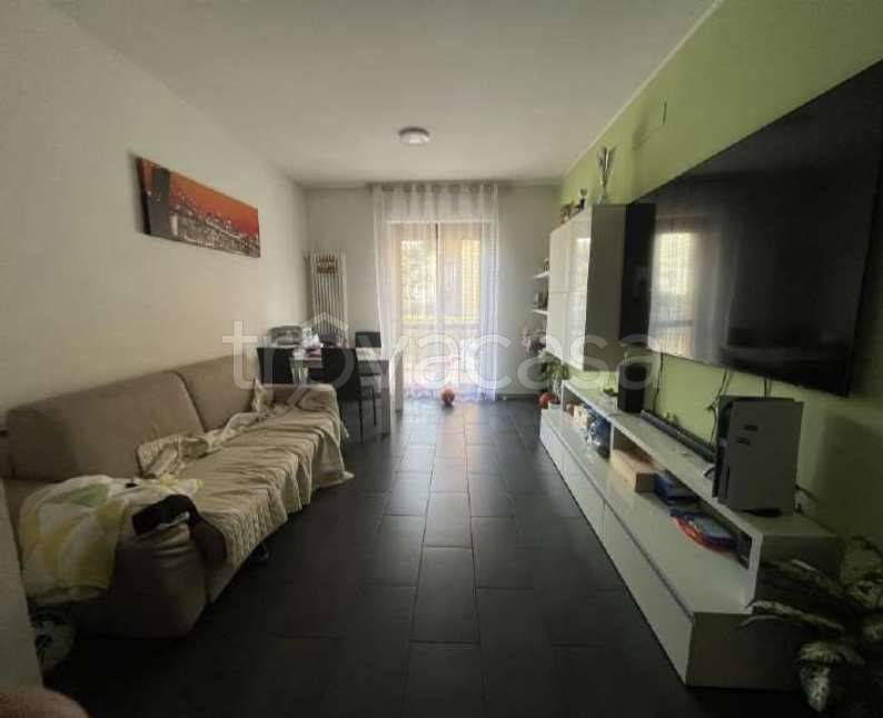 immagine annuncio 3 di 13
